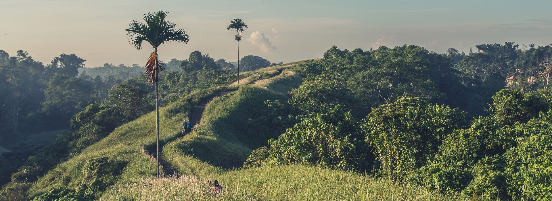 Travelog: Een dag in Ubud