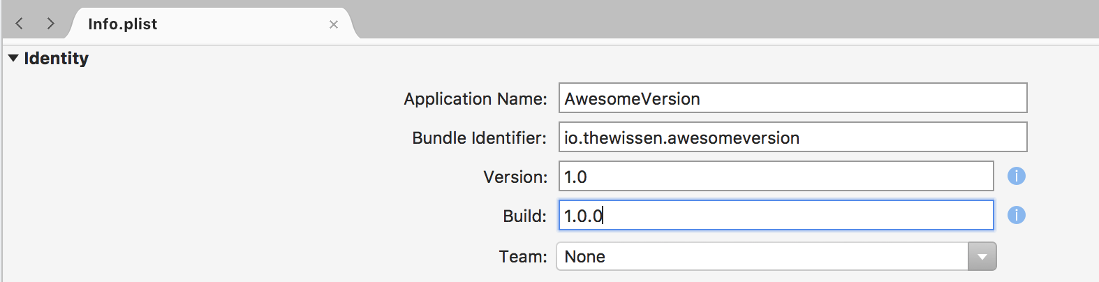 Version numbers in Xamarin iOS